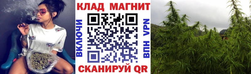 Сколько стоит Унеча Alpha-PVP  COCAIN  Амфетамин  Каннабис  Гашиш  Мефедрон 
