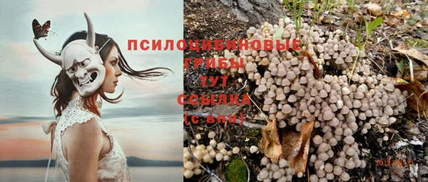 ешки Осинники