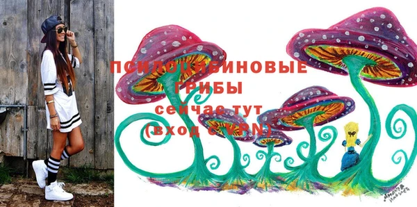 ешки Осинники