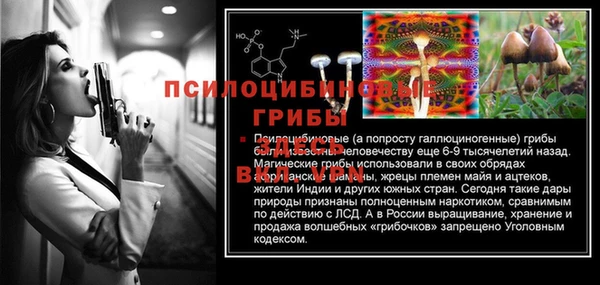 ешки Осинники