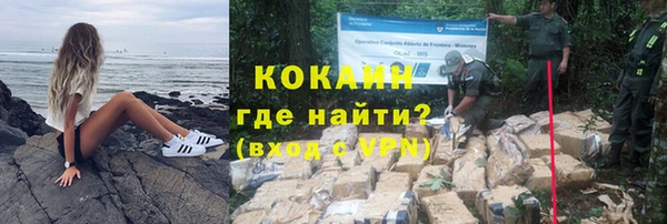 ешки Осинники