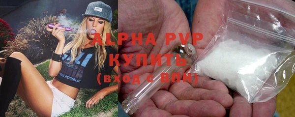 ешки Осинники