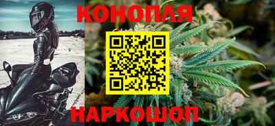 сатива Азнакаево