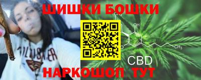 шишки Изобильный
