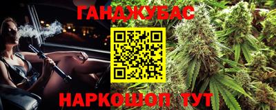 шишки Изобильный