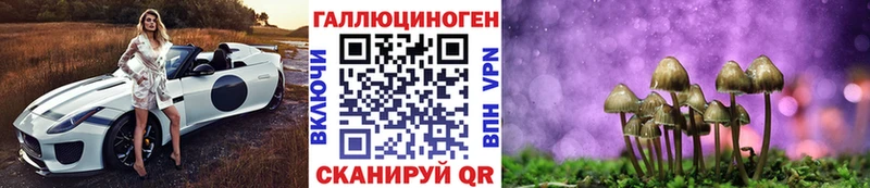 купить  сайты  Унеча  Псилоцибиновые грибы Magic Shrooms 