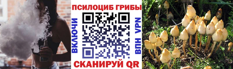 Галлюциногенные грибы мухоморы Унеча