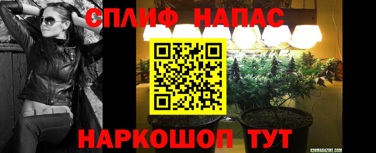 Конопля Ganja  МАРИХУАНА семена  Бошки Шишки конопля  Вход с VPN  Унеча 
